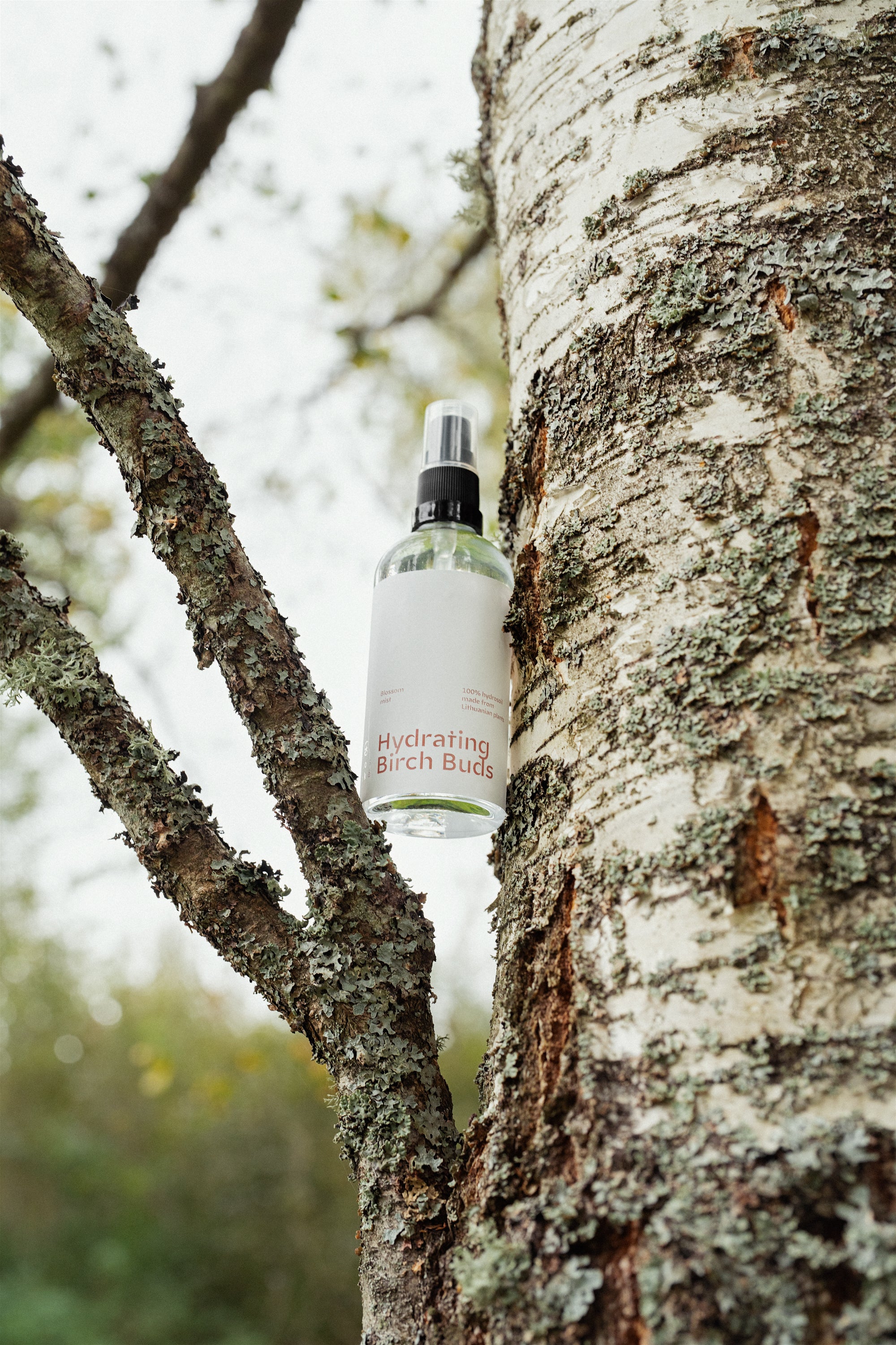 Hydrating birch buds mist