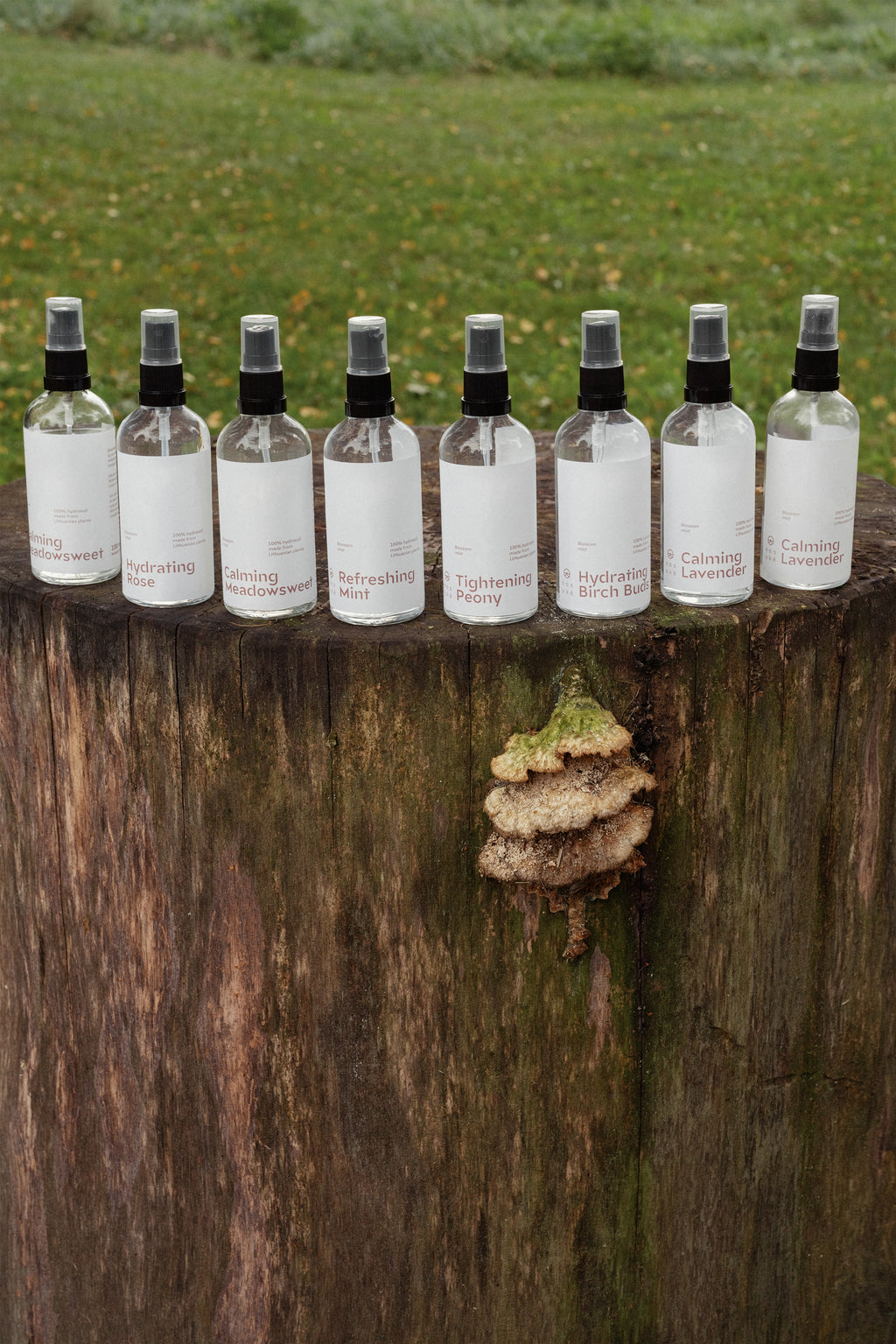 Calming lavender mist