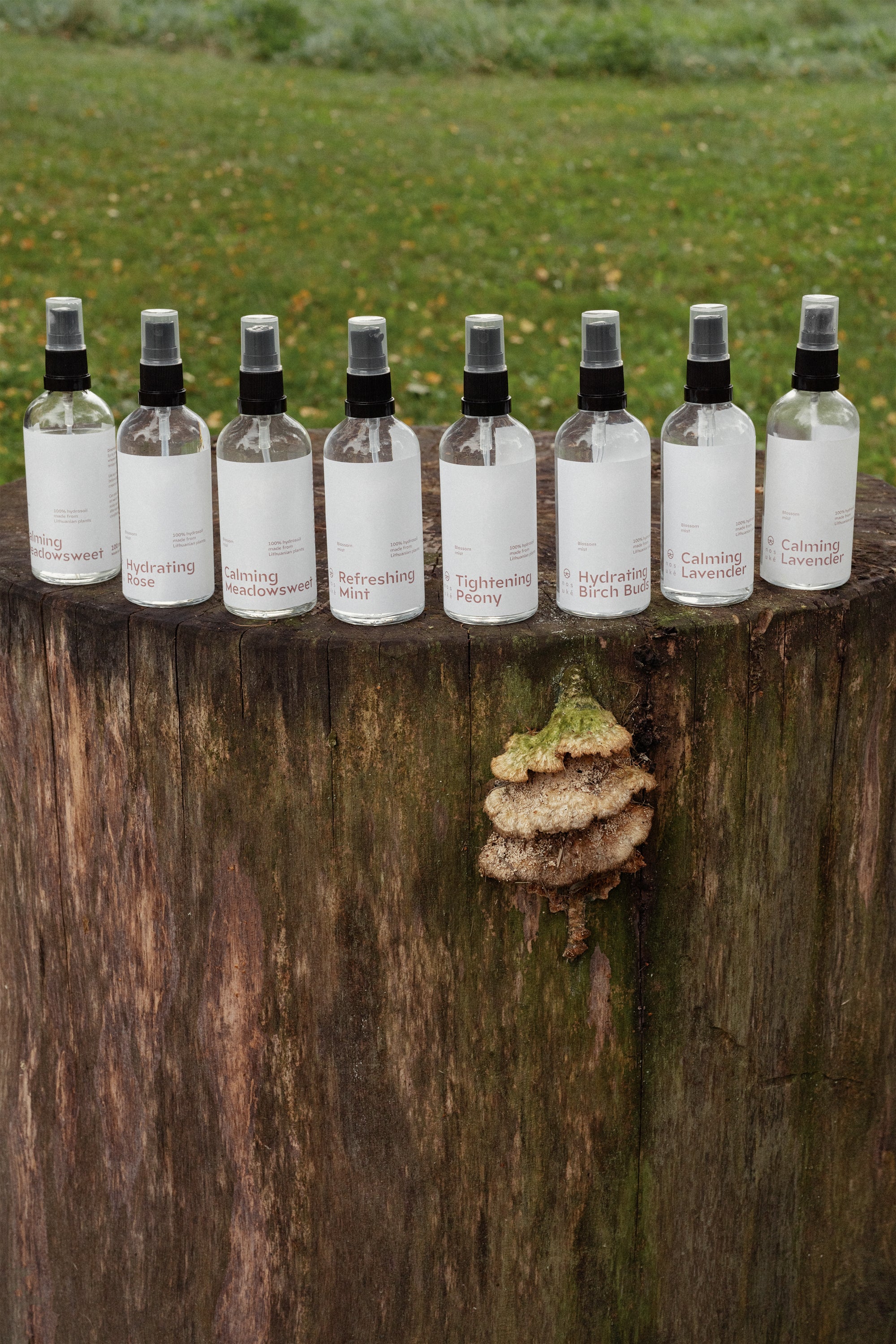 Calming lavender mist